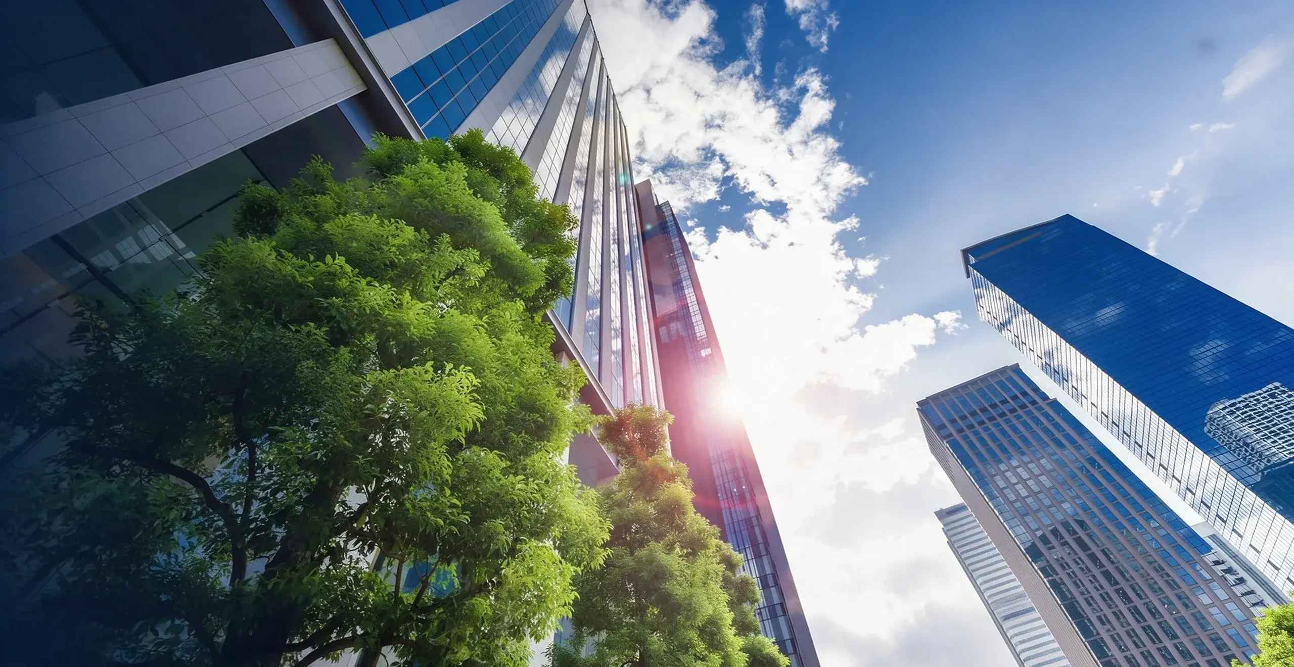 Urban buildings rising beside green trees under a blue sky
